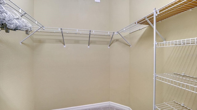 1203 Calle Grand St, Bradenton, FL 34209 - photo 29