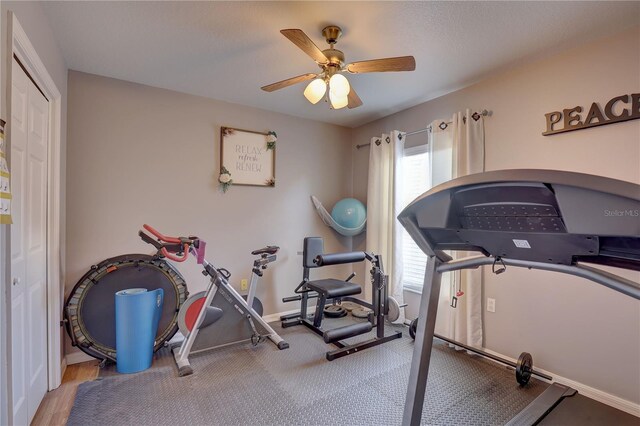 12805 Raysbrook Dr, Riverview, FL 33569 - photo 30