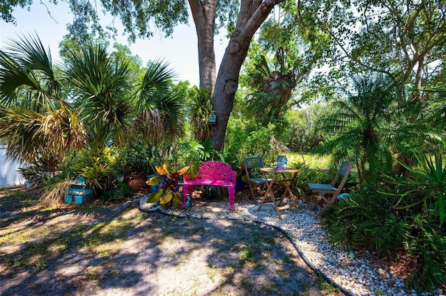 4219 Berkshire Dr, Sarasota, FL 34241 - view of yard
