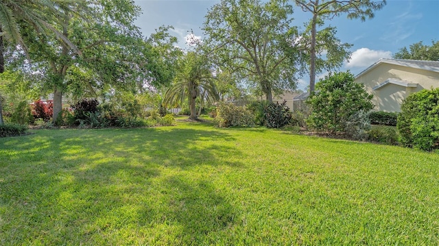 2115 Timucua Trl, Nokomis, FL 34275 - photo 44