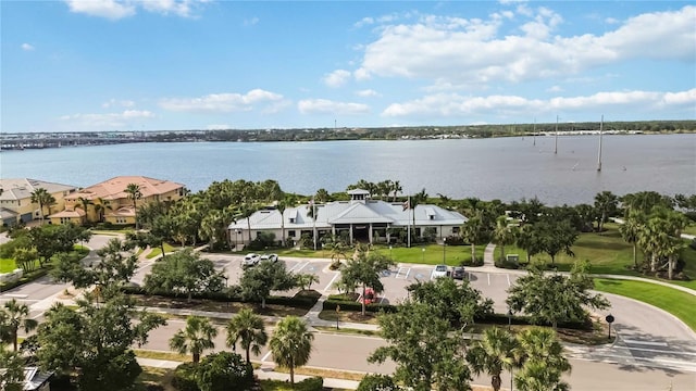 bird's eye view with a water view