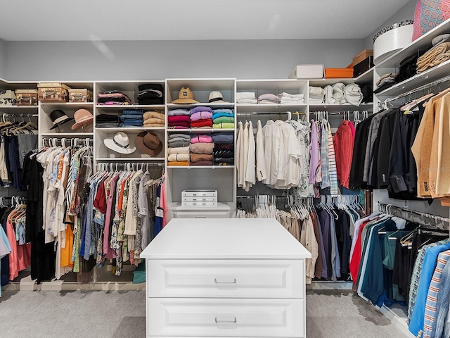 15037 Montello Way, Lakewood Ranch, FL 34211 - spacious closet with carpet