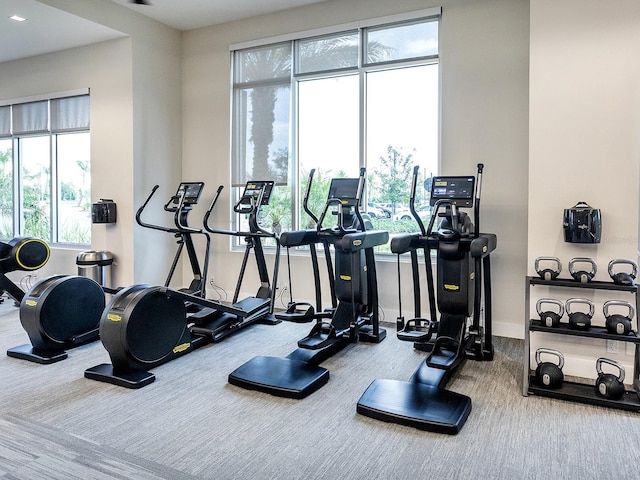 15037 Montello Way, Lakewood Ranch, FL 34211 - gym featuring a healthy amount of sunlight