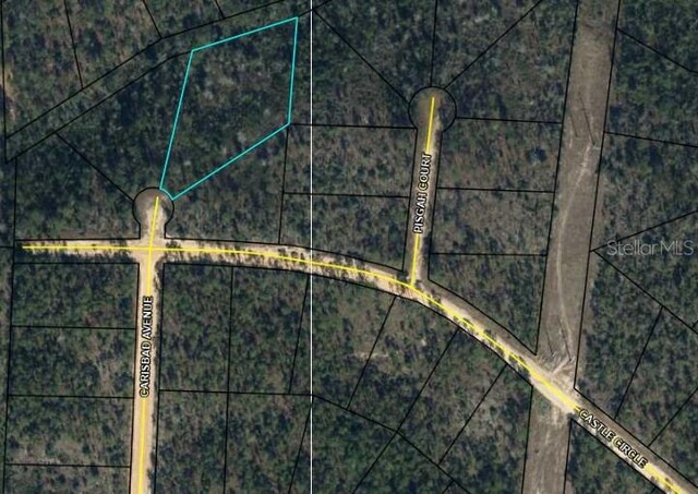 Castle Cir, Alford, FL 32420 - photo 23