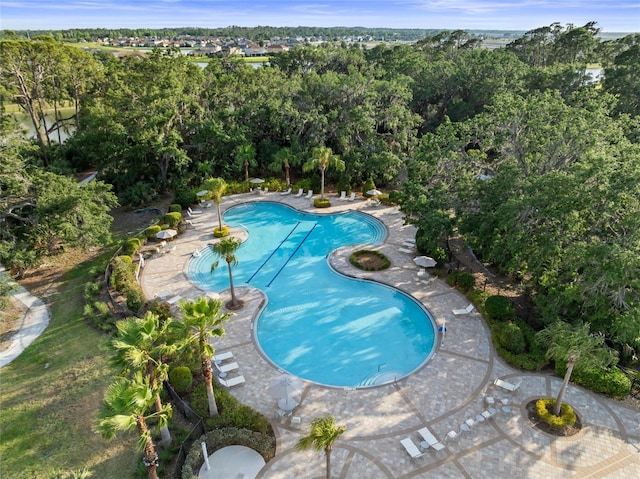 9725 Last Light Gln, Parrish, FL 34219 - community pool featuring view of wooded area