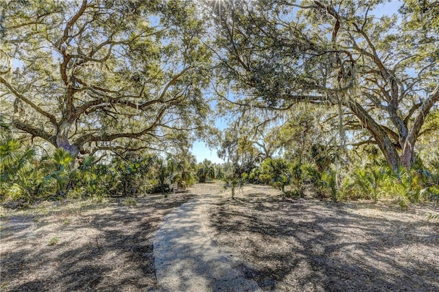 9725 Last Light Gln, Parrish, FL 34219 - view of road