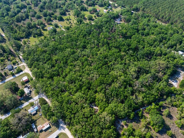 NW 27th Pl, Chiefland, FL 32626 - photo 13
