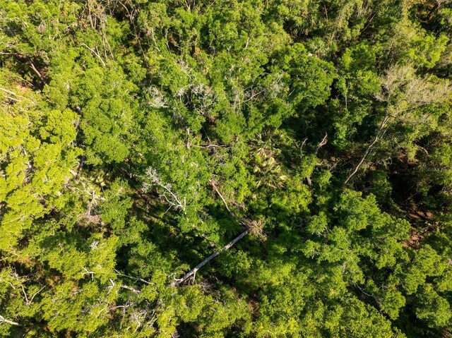 NW 27th Pl, Chiefland, FL 32626 - photo 19