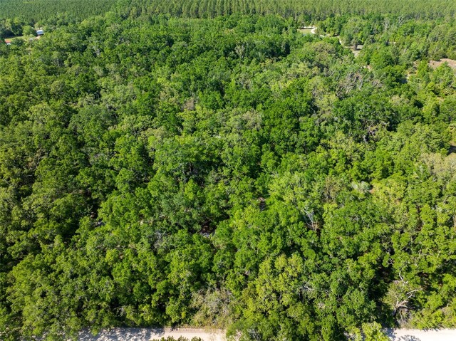 NW 27th Pl, Chiefland, FL 32626 - photo 30