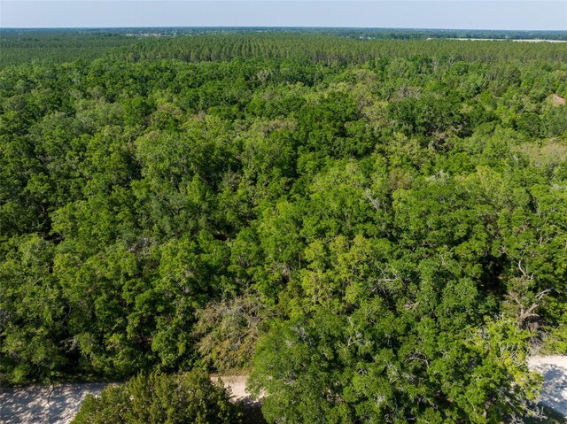NW 27th Pl, Chiefland, FL 32626 - photo 31