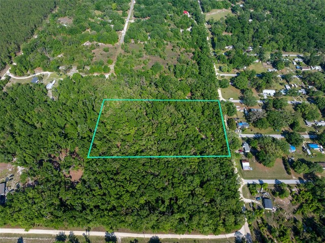 NW 27th Pl, Chiefland, FL 32626 - photo 3