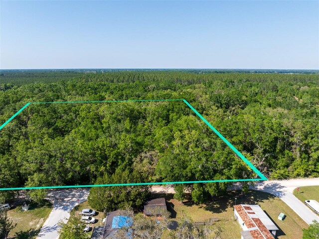 NW 27th Pl, Chiefland, FL 32626 - photo 5