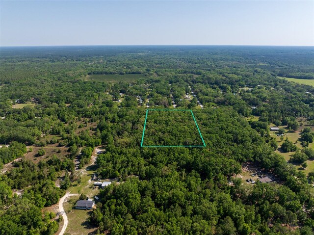 NW 27th Pl, Chiefland, FL 32626 - photo 6