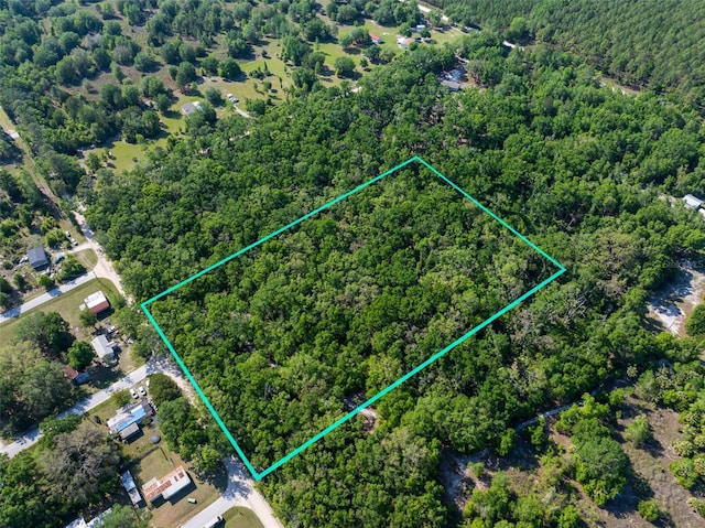 NW 27th Pl, Chiefland, FL 32626 - photo 2