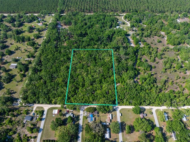 NW 27th Pl, Chiefland, FL 32626 - photo 4