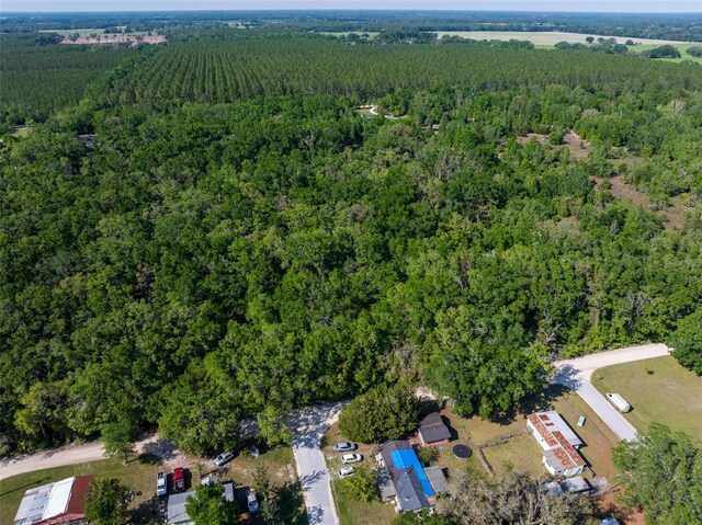 NW 27th Pl, Chiefland, FL 32626 - photo 17