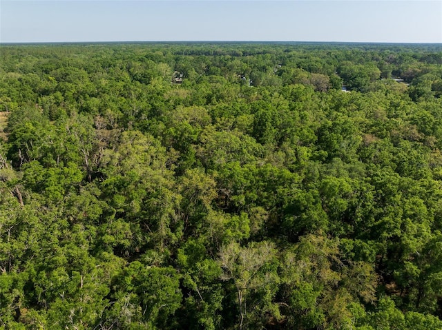 NW 27th Pl, Chiefland, FL 32626 - photo 20