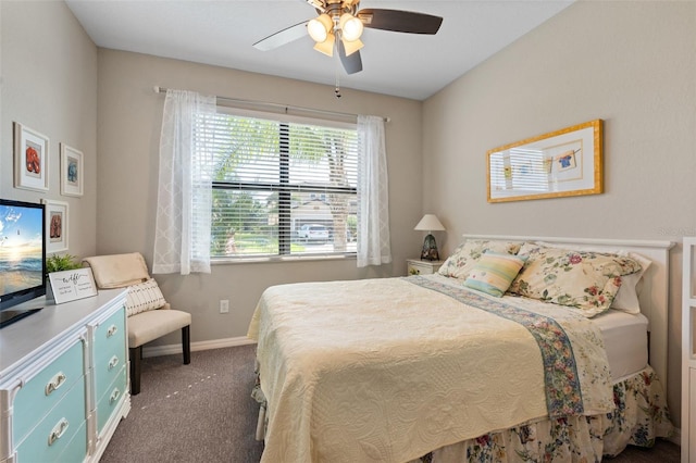 14309 Carolina Sky Pl, Lakewood Ranch, FL 34211 - bedroom with ceiling fan, carpet floors, and baseboards