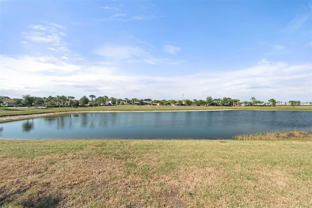 14309 Carolina Sky Pl, Lakewood Ranch, FL 34211 - view of water feature