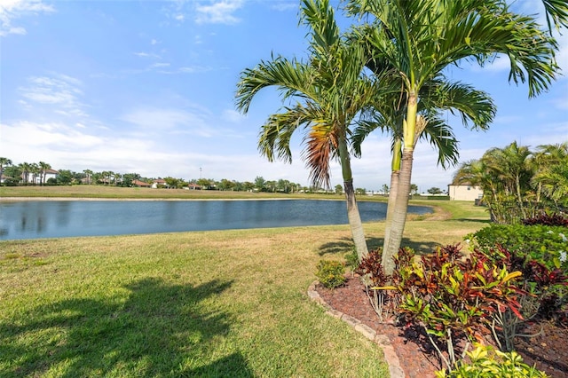 14309 Carolina Sky Pl, Lakewood Ranch, FL 34211 - water view