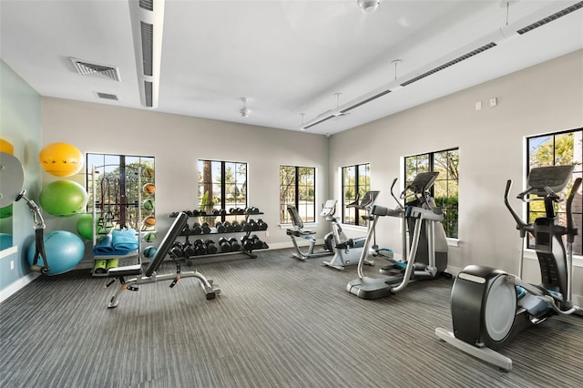 14309 Carolina Sky Pl, Lakewood Ranch, FL 34211 - gym with carpet floors, visible vents, and baseboards