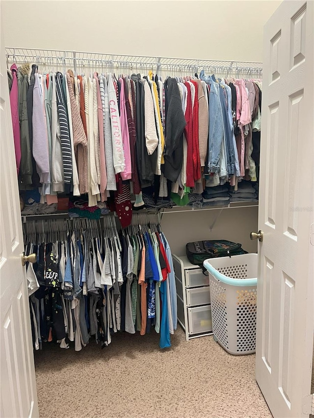 view of walk in closet
