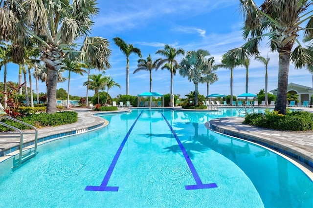 view of community pool