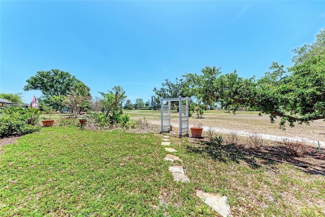 view of yard