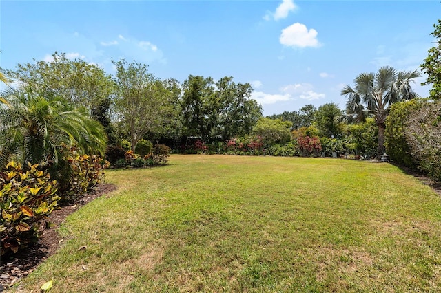 6231 Cypress Bend Ct, University Park, FL 34201 - view of grassy yard