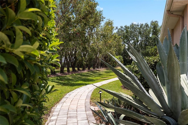 6231 Cypress Bend Ct, University Park, FL 34201 - view of home's community with a lawn