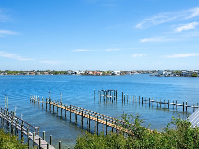 dock area with a water view