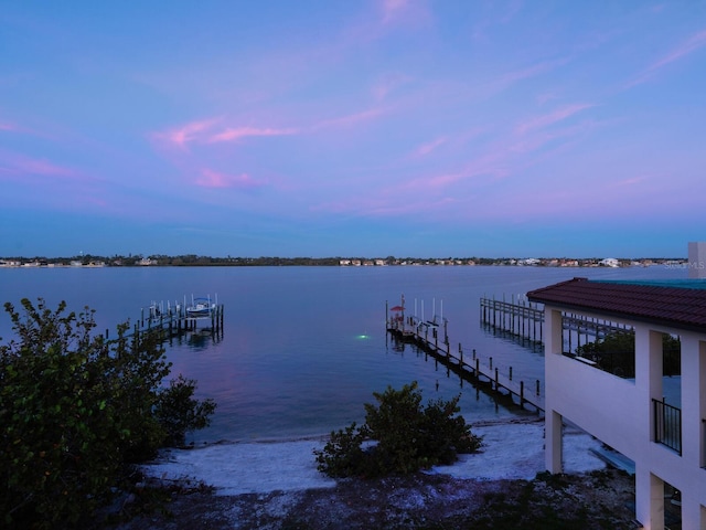 dock area with a water view