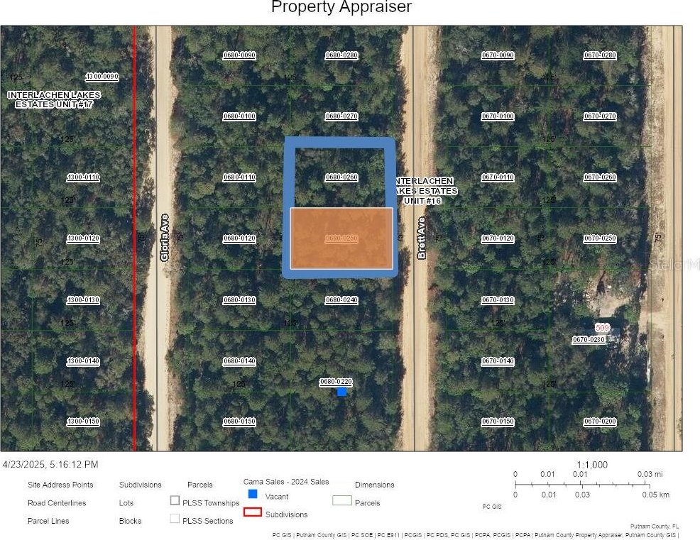 DoubleLot Brett Avenue, Interlachen, FL 32148