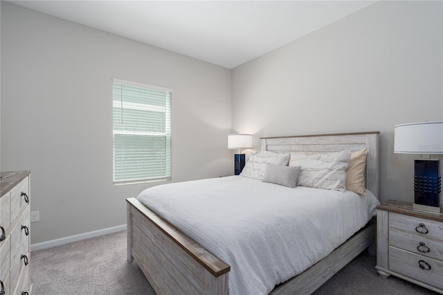 10464 Ladybug Cv, Parrish, FL 34219 - carpeted bedroom with baseboards