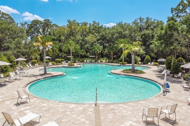 10464 Ladybug Cv, Parrish, FL 34219 - community pool featuring view of scattered trees and a patio area