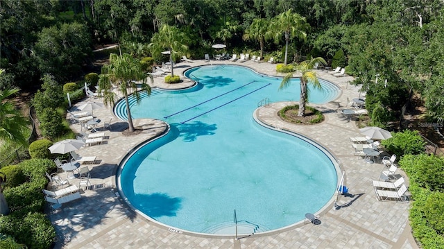 10464 Ladybug Cv, Parrish, FL 34219 - community pool with a patio area and view of wooded area