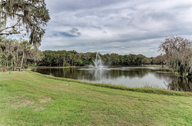 property view of water with a view of trees
