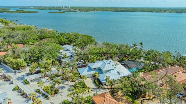 aerial view with a water view