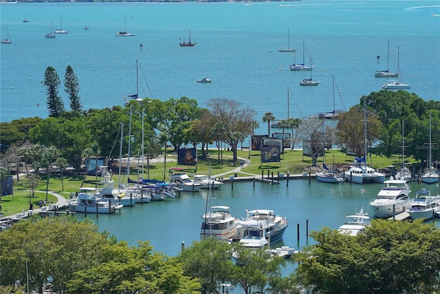 1042 N Casey Key Rd, Osprey, FL 34229 - water view with a boat dock