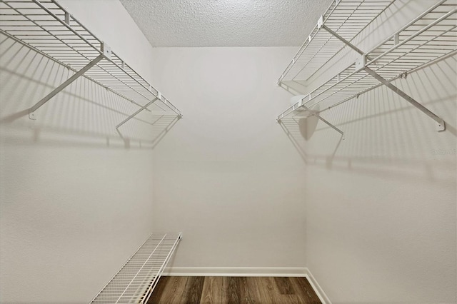 752 White Pine Tree Rd Unit 101, Venice, FL 34285 - walk in closet featuring wood finished floors