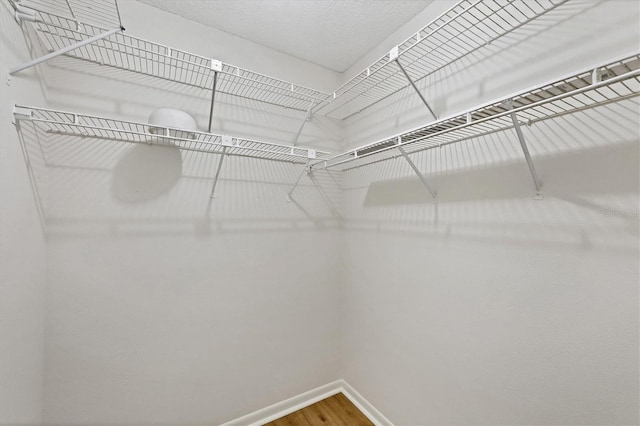752 White Pine Tree Rd Unit 101, Venice, FL 34285 - walk in closet with wood finished floors