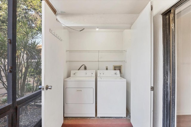 752 White Pine Tree Rd Unit 101, Venice, FL 34285 - laundry area featuring wood finished floors, independent washer and dryer, and laundry area