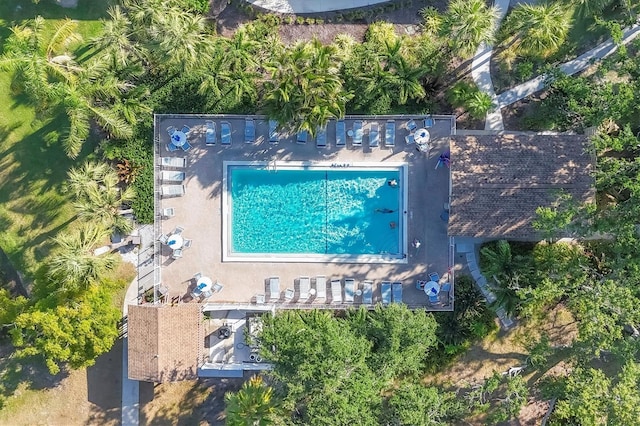 752 White Pine Tree Rd Unit 101, Venice, FL 34285 - drone / aerial view