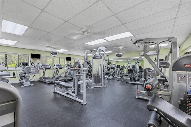 752 White Pine Tree Rd Unit 101, Venice, FL 34285 - workout area featuring a paneled ceiling