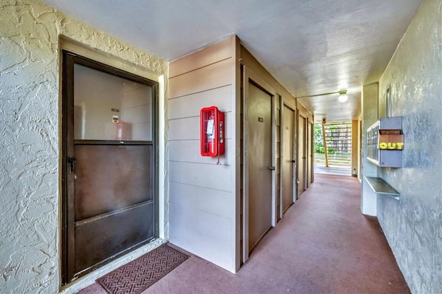 752 White Pine Tree Rd Unit 101, Venice, FL 34285 - hall featuring carpet floors