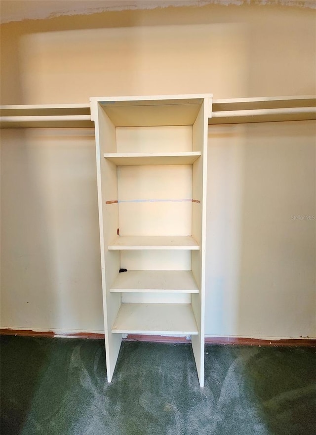 4221 26th St W, Bradenton, FL 34205 - view of closet