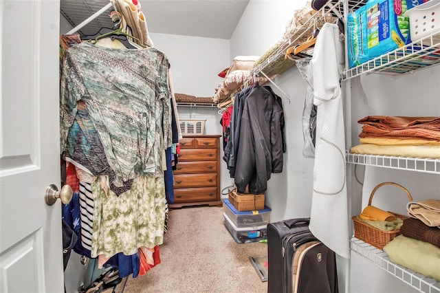 view of walk in closet