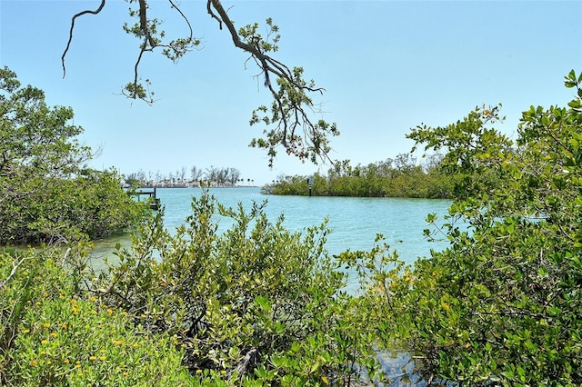 water view