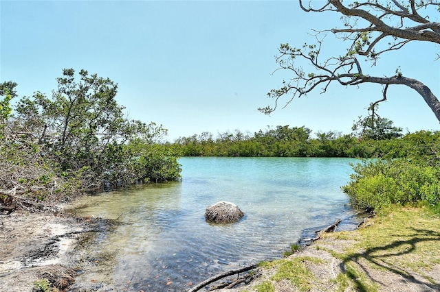 view of water feature