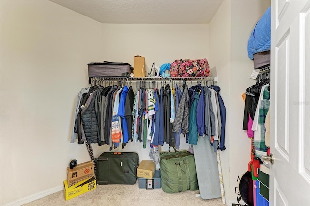 7822 110th Ave E, Parrish, FL 34219 - spacious closet with carpet